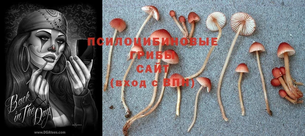 прущий лед Алексеевка