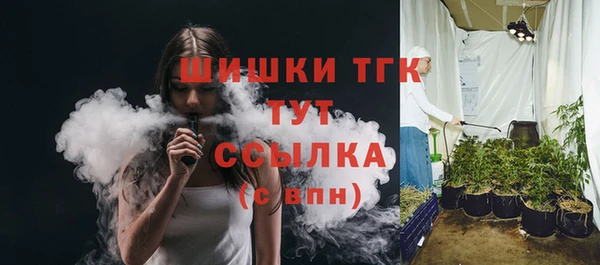 дмт Пересвет